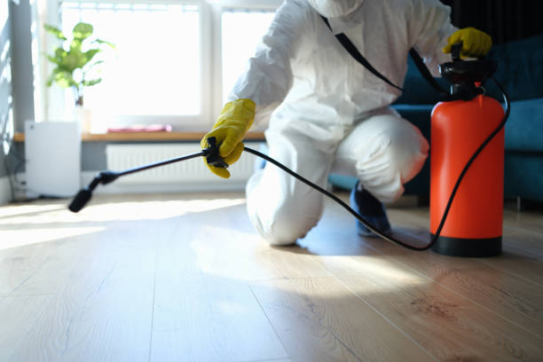 Best Wasp Removal Services  in Coral Hills, MD