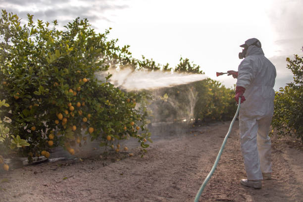 Best Affordable Pest Control Services  in Coral Hills, MD