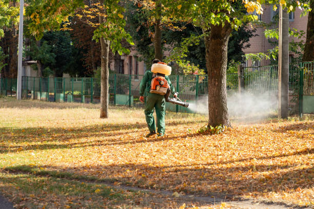Best Bed Bug Extermination  in Coral Hills, MD